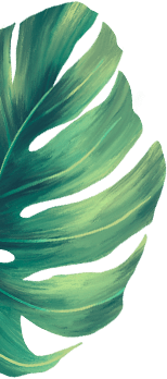 Hoja decorativa