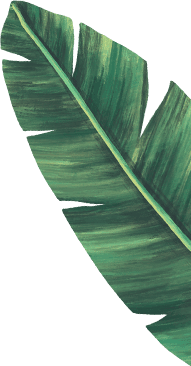 Hoja decorativa